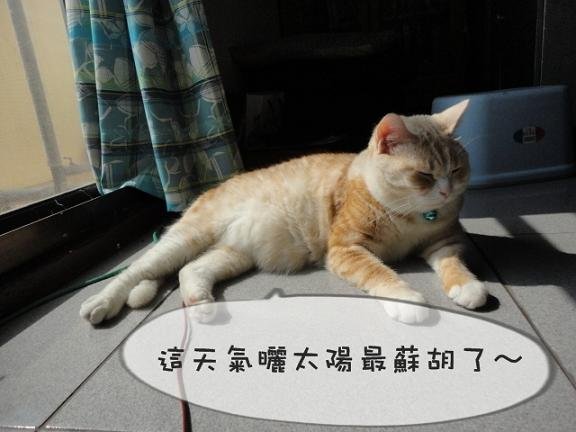 曬太陽100.04.20-14