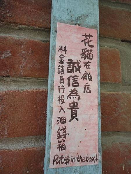 100.05.29安平躲貓貓-花貓在顧店
