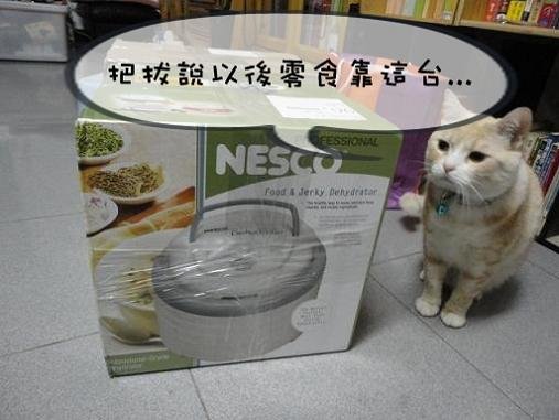 2011.01.27生日禮物