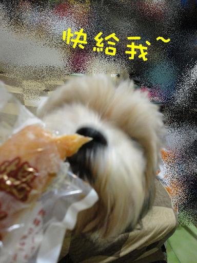 DSC02600.JPG