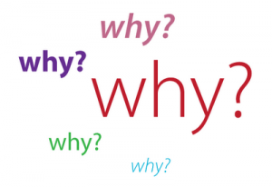 Why-300x206