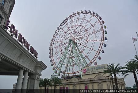 1060520-31.JPG