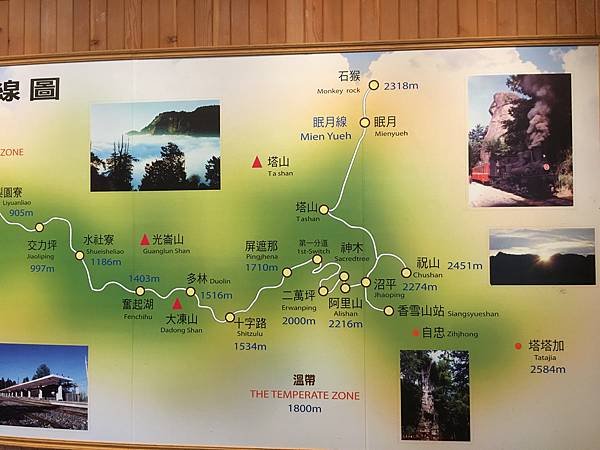 1090912阿里山-08.JPG