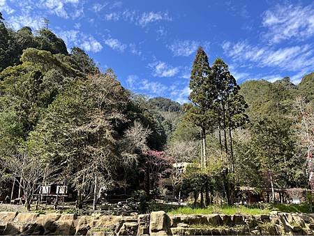 1110206杉林溪_094(001).jpg