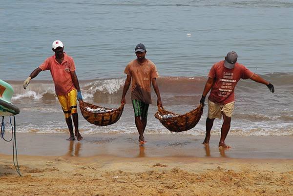 negombo 1