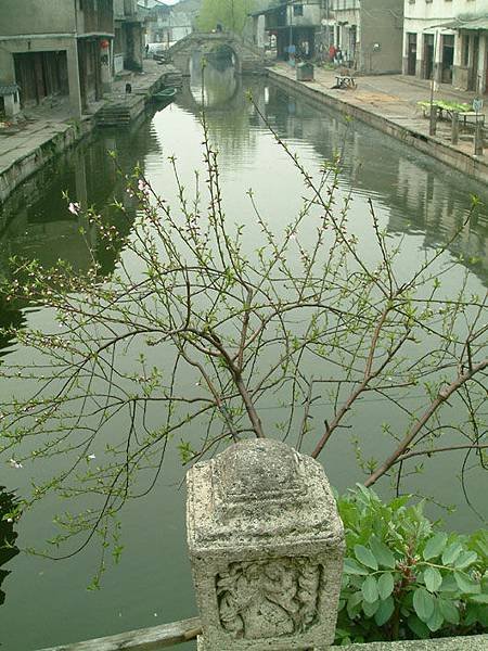 shaoxing a16