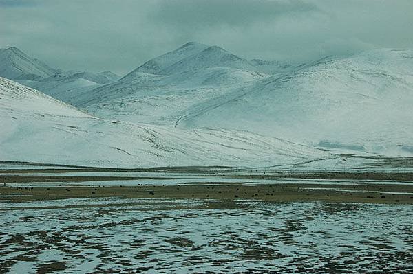 Tibet 7