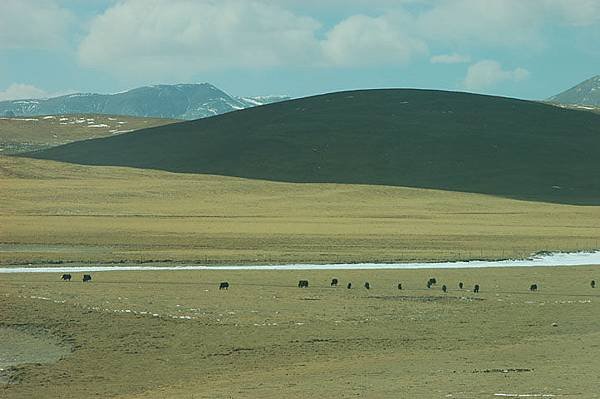 Tibet 10