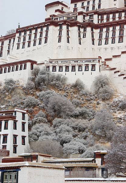 Potala 6