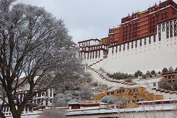 Potala 8