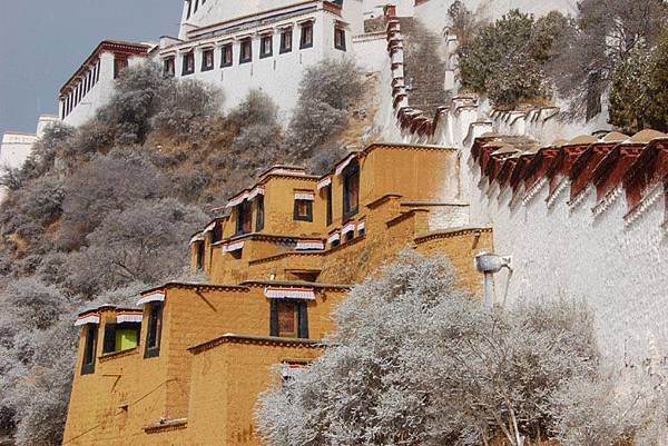 Potala 11