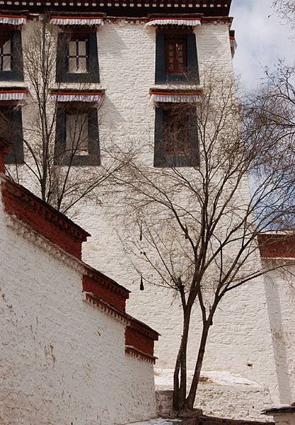 Potala 16