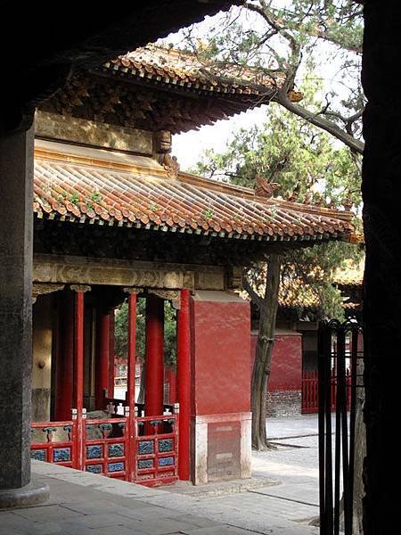 Qufu 7