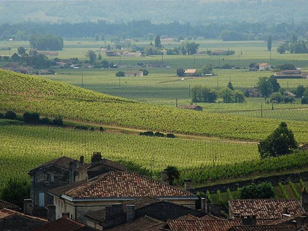 St Emilion 2