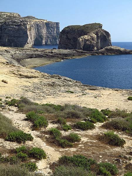 Gozo 14b