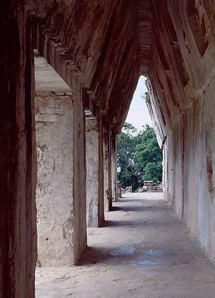 palenque 11