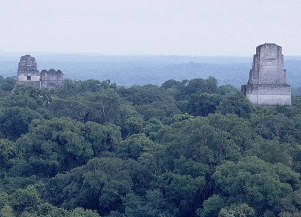 tikal 4