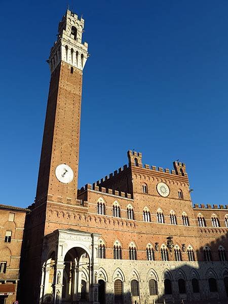 Siena 11