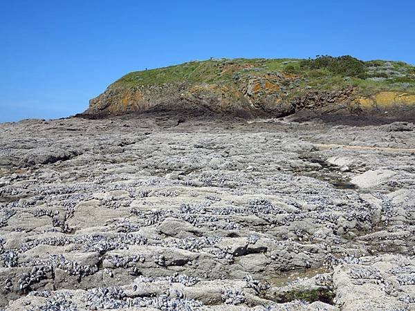 St Malo c2.JPG