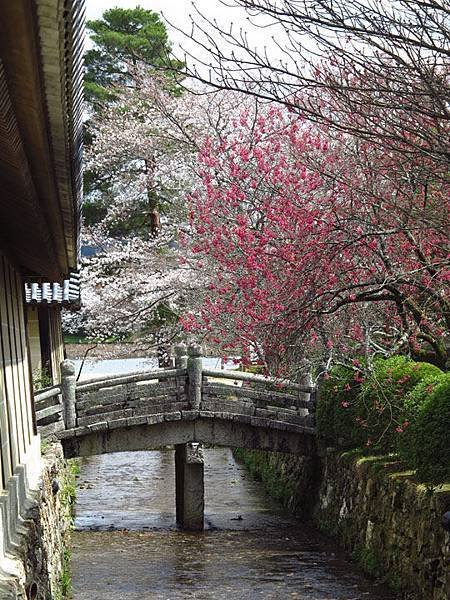 kyoto 3a5.JPG