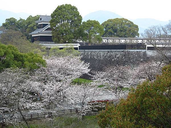 Kumamoto a8.JPG