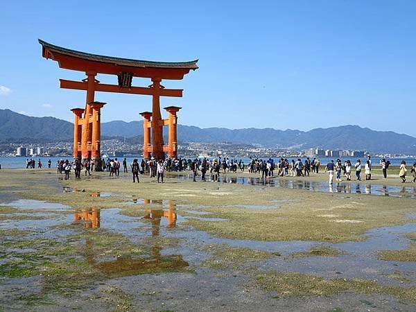 Miyajima a2.JPG