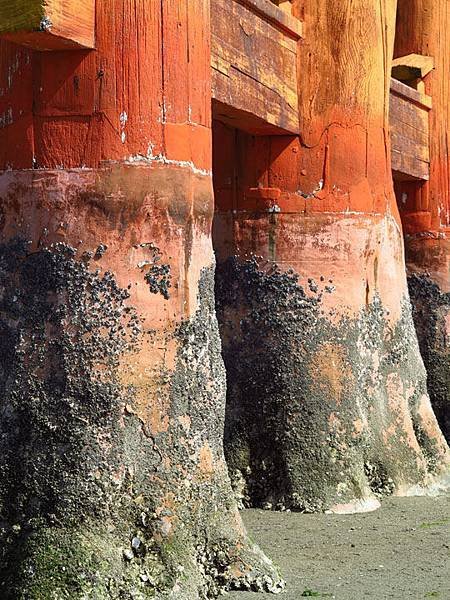 Miyajima a4.JPG