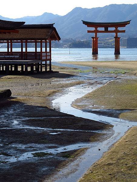 Miyajima a5.JPG