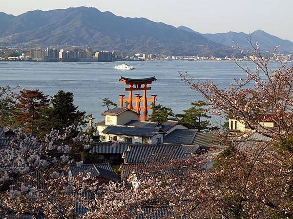 Miyajima b6.JPG