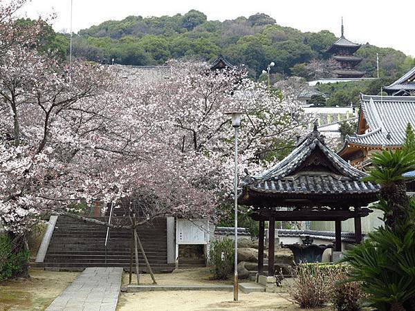 Onomichi e1.JPG