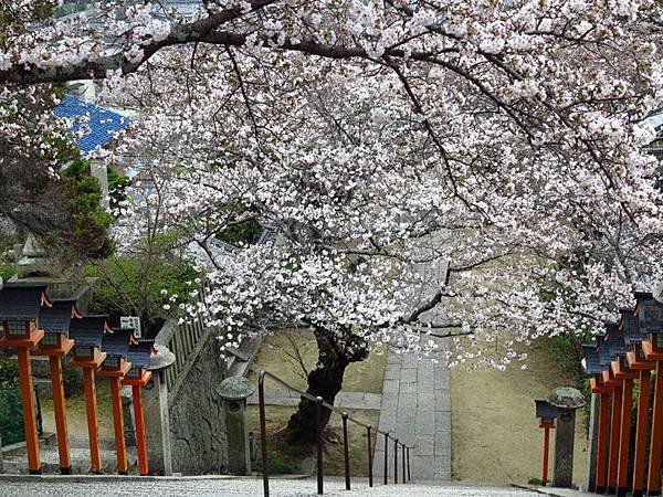 Onomichi e10.JPG