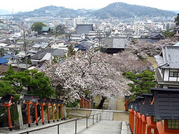 Onomichi e6.JPG