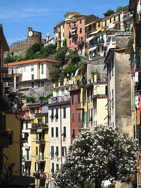 Cinqueterre 8.JPG