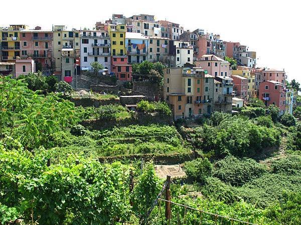 Cinqueterre 20.JPG