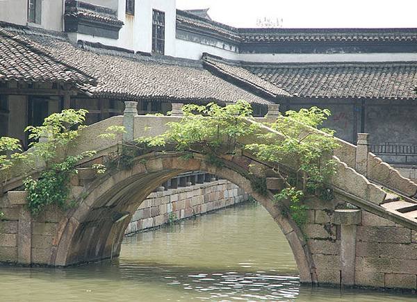 Wuzhen 9.jpg