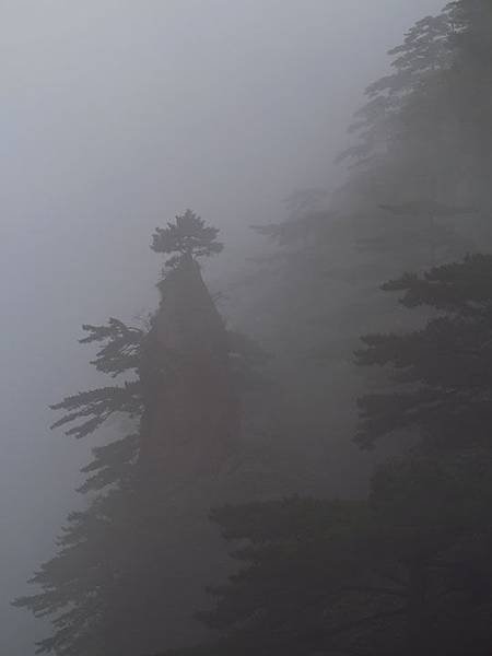 Huangshan a6.JPG