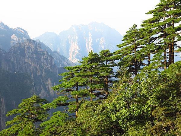 Huangshan b3.JPG