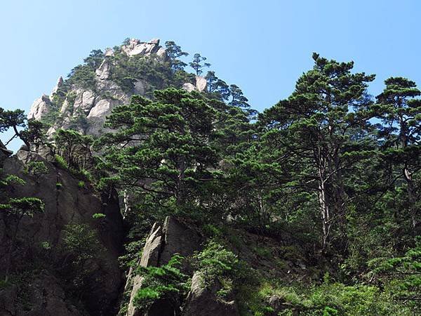 Huangshan c9.JPG