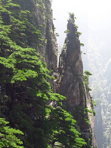 Huangshan d5.JPG