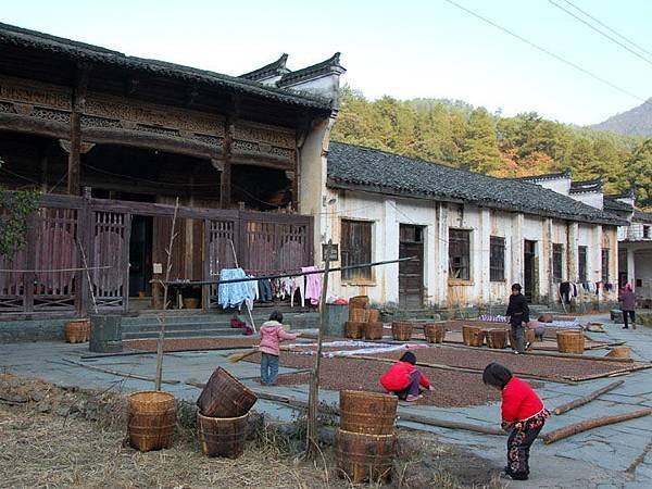 Xiaoqi d7.JPG