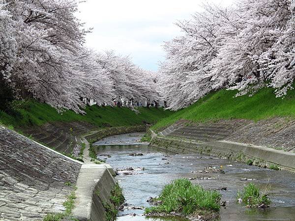 Nara a6.JPG