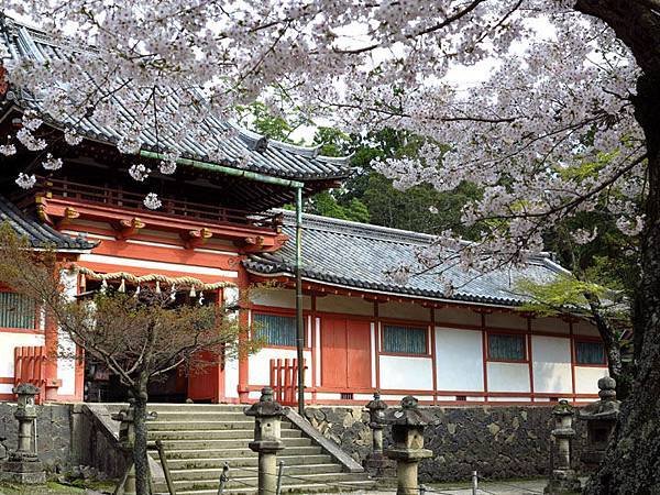 Nara d1.JPG