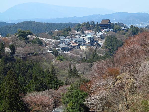 Nara f8.JPG