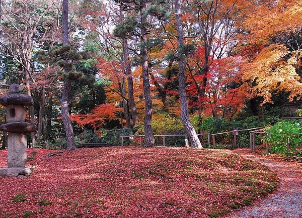 Nara n6.JPG