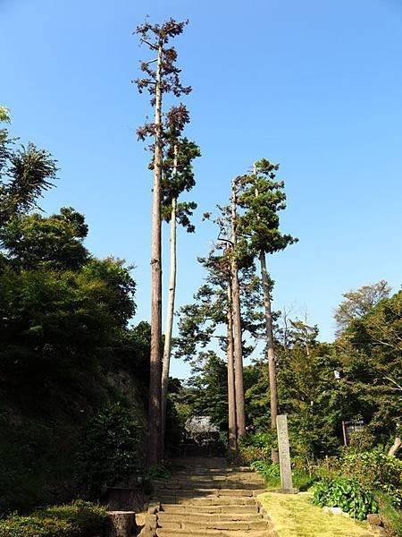 Kamakura c10.JPG