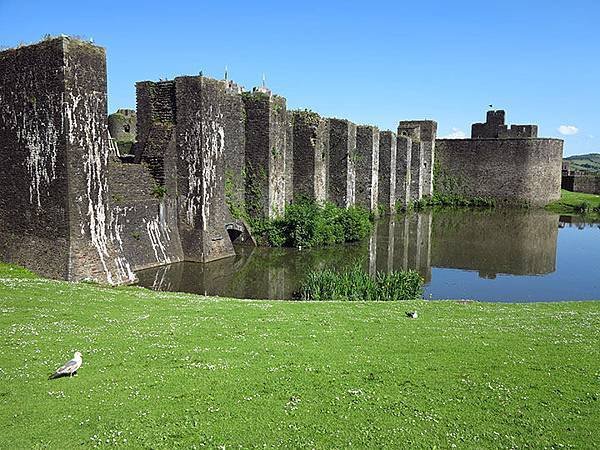 Caerphilly 5