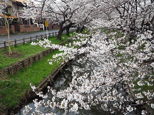 Kawagoe b4.JPG