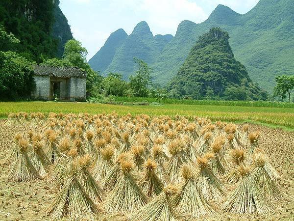 Yangshuo b4.jpg