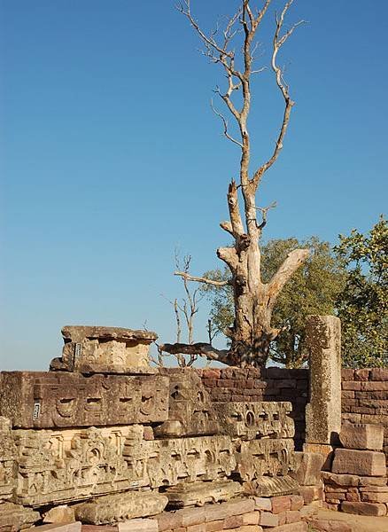 Sanchi a9.jpg