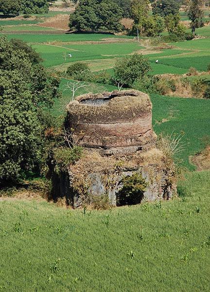 Mandu g9.jpg